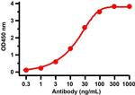 SARS-CoV-2 Nucleocapsid Antibody in ELISA (ELISA)