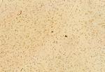 H3K27me3 Antibody in Immunohistochemistry (Paraffin) (IHC (P))