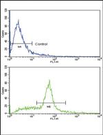 SCF Antibody in Flow Cytometry (Flow)