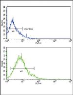 GLUT2 Antibody in Flow Cytometry (Flow)