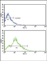 CD3g Antibody in Flow Cytometry (Flow)