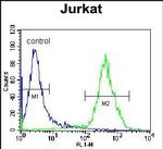 VSTM2B Antibody in Flow Cytometry (Flow)