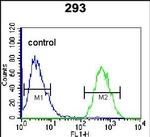 Glypican 6 Antibody in Flow Cytometry (Flow)