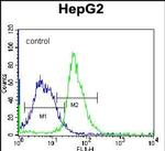 LC3B Antibody in Flow Cytometry (Flow)