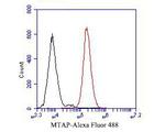 MTAP Antibody in Flow Cytometry (Flow)