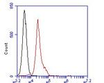 BCL6 Antibody in Flow Cytometry (Flow)