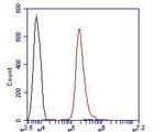 delta Catenin Antibody in Flow Cytometry (Flow)