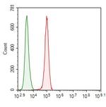 ITCH Antibody in Flow Cytometry (Flow)