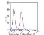 Cytokeratin 20 Antibody in Flow Cytometry (Flow)