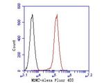 MDM2 Antibody in Flow Cytometry (Flow)