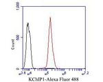 KCNIP1 Antibody in Flow Cytometry (Flow)