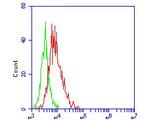 ACE2 Antibody in Flow Cytometry (Flow)