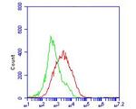 ACE2 Antibody in Flow Cytometry (Flow)