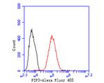 Rab11 FIB3 Antibody in Flow Cytometry (Flow)