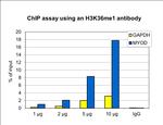 H3K36me1 Antibody in ChIP Assay (ChIP)