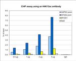 H4K12ac Antibody in ChIP Assay (ChIP)