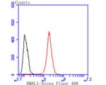 BMAL1 Antibody in Flow Cytometry (Flow)