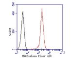 DNA2 Antibody in Flow Cytometry (Flow)