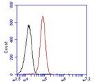 ZFHX3 Antibody in Flow Cytometry (Flow)