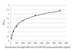 SARS/SARS-CoV-2 Nucleocapsid Antibody in ELISA (ELISA)