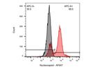 SARS/SARS-CoV-2 Nucleocapsid Antibody in Flow Cytometry (Flow)