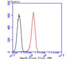 SMAD4 Antibody in Flow Cytometry (Flow)