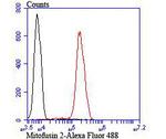 MFN2 Antibody in Flow Cytometry (Flow)