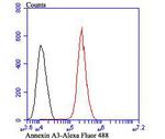 Annexin A3 Antibody in Flow Cytometry (Flow)