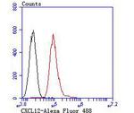 CXCL12 Antibody in Flow Cytometry (Flow)