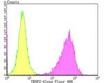 TROP2 Antibody in Flow Cytometry (Flow)