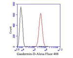 GSDMD Antibody in Flow Cytometry (Flow)