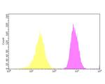 Galectin 4 Antibody in Flow Cytometry (Flow)