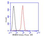 MTHFD2 Antibody in Flow Cytometry (Flow)