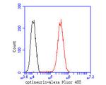 Optineurin Antibody in Flow Cytometry (Flow)