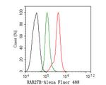 RAB27B Antibody in Flow Cytometry (Flow)