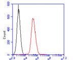 CD35 Antibody in Flow Cytometry (Flow)