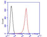 DTNBP1 Antibody in Flow Cytometry (Flow)