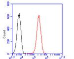 p16INK4a Antibody in Flow Cytometry (Flow)