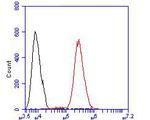 SSB Antibody in Flow Cytometry (Flow)