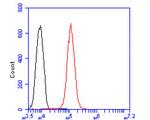 MVK Antibody in Flow Cytometry (Flow)