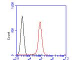 NAT13 Antibody in Flow Cytometry (Flow)