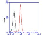 SERPINA6 Antibody in Flow Cytometry (Flow)