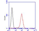 NAT13 Antibody in Flow Cytometry (Flow)