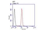 JNK2 Antibody in Flow Cytometry (Flow)