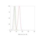 ENAH Antibody in Flow Cytometry (Flow)