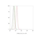 PIP5K1A Antibody in Flow Cytometry (Flow)