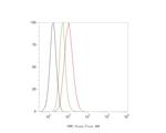 SNW1 Antibody in Flow Cytometry (Flow)