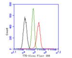 TTK Antibody in Flow Cytometry (Flow)