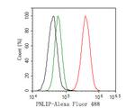 PNLIP Antibody in Flow Cytometry (Flow)