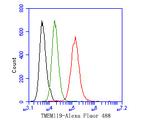 TMEM119 Antibody in Flow Cytometry (Flow)